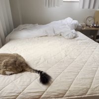 ベッドの端っこ