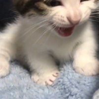 見切れるほどアップ