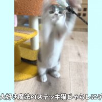 テロップ「みんな大好き～」