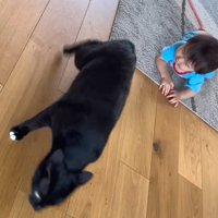 逃げるくまごろうくん