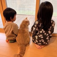 大きくなった娘さん