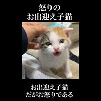 正面