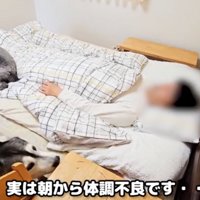 ベッドに寝ている飼い主とそばにいる犬たち
