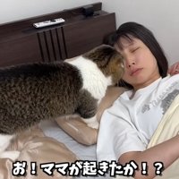 眠っている女性の横にいる猫