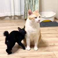 座るむぎくんと