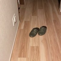 部屋の中へ消えていく猫