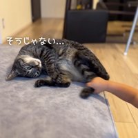 そうじゃない…