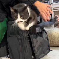 リュックからジャンプ