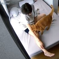 座ったまま眠る飼い主
