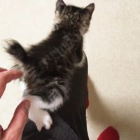 後ろ姿