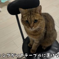 テロップ「ギャングがいて～」