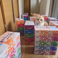 行き止まりのじゅんちゃんと後ろに茶太郎くん