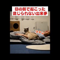 コテン