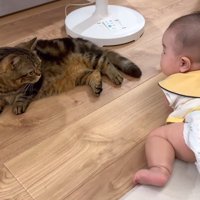 向き合うふたり