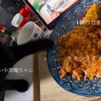 オムライスが入った皿に前足を伸ばす猫