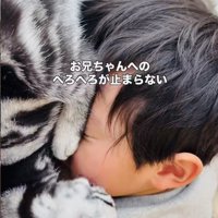 お兄ちゃんの顔を舐める子猫