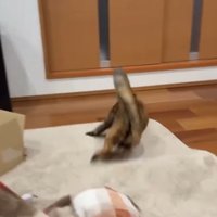 回転中