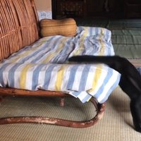 滑り落ちて