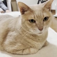 ひのきちゃんのアップ