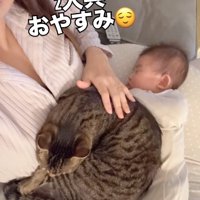 赤ちゃんを乗せた飼い主の膝の上で丸くなる猫（横）