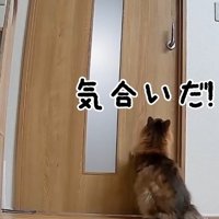 気合いだ！