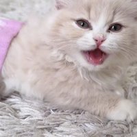 「まだかなぁ～」のテロップ写真%%