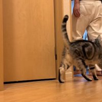 部屋へ向かうパパさんと、その後を追うジャックくん