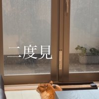 窓の外を見ながらイカ耳になっている猫