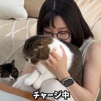 テロップ「チャージ中」