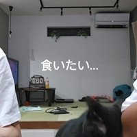 突進する猫