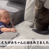 絡まれてました