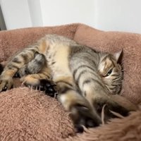 フミフミのアップ