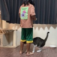 人の足元にいる猫