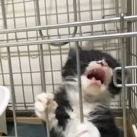 顔のアップ