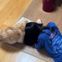 子どもの頭にぶつかっている猫