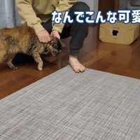 なんでこんな可愛いん？