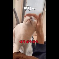 息子にスリスリ