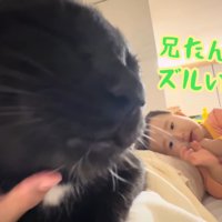 テロップ「兄たんばっか～」