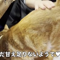 まだ甘え足りない