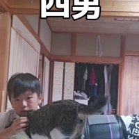 宿題をしている男の子と猫
