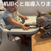 赤ちゃんと猫の写真8