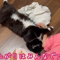 テロップ「お風呂上りはみんなで～」