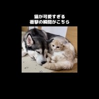 寄り添うふたり