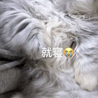「就寝」のテロップ写真