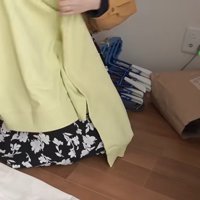 紙袋に入る猫