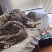 添い寝する猫