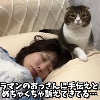 見つめるぽこ太郎くん