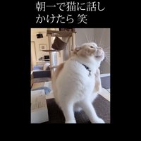 左をカキカキ