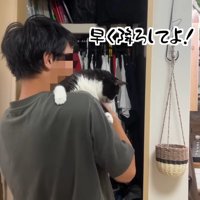 早く降ろしてよ！
