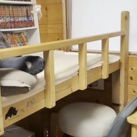 画像右端に茶トラさん